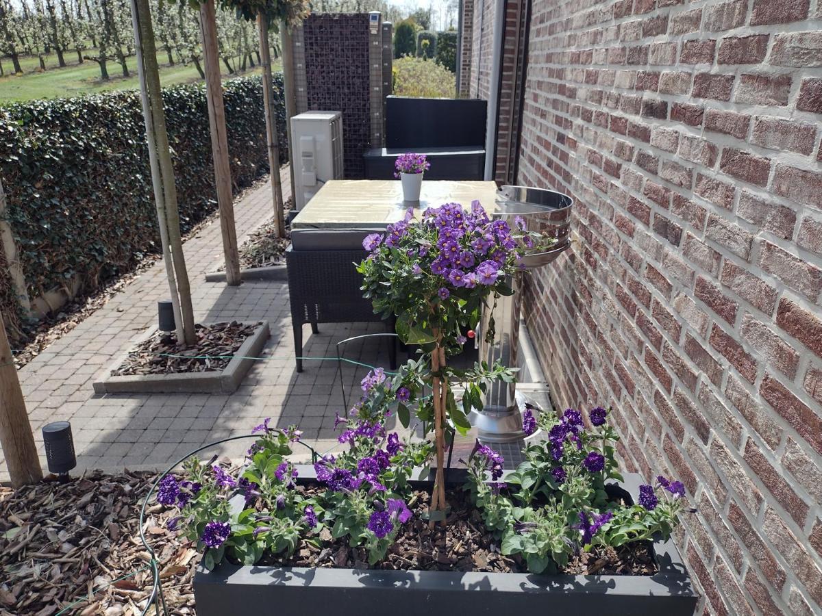 Hasbania Vakantiewoning Gingelom Экстерьер фото